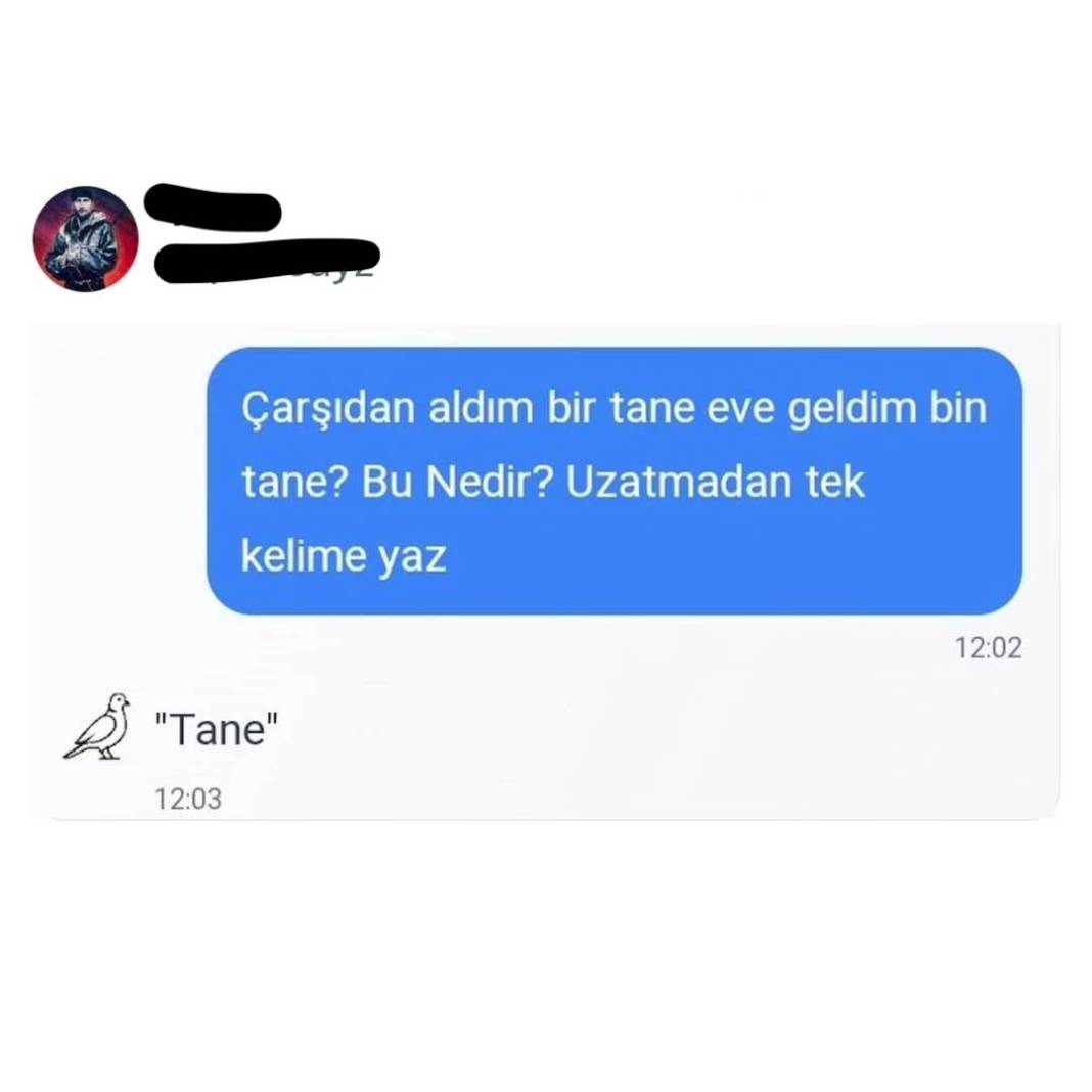 Yerli yapay zeka “Kumru” sosyal medyada viral oldu! Verdiği yanıtlarla tartışma yarattı 4